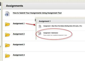 Blearn assignment withinstructb.jpg