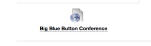 Big Blue Button 5.png