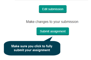 Assignment submission instructions.png